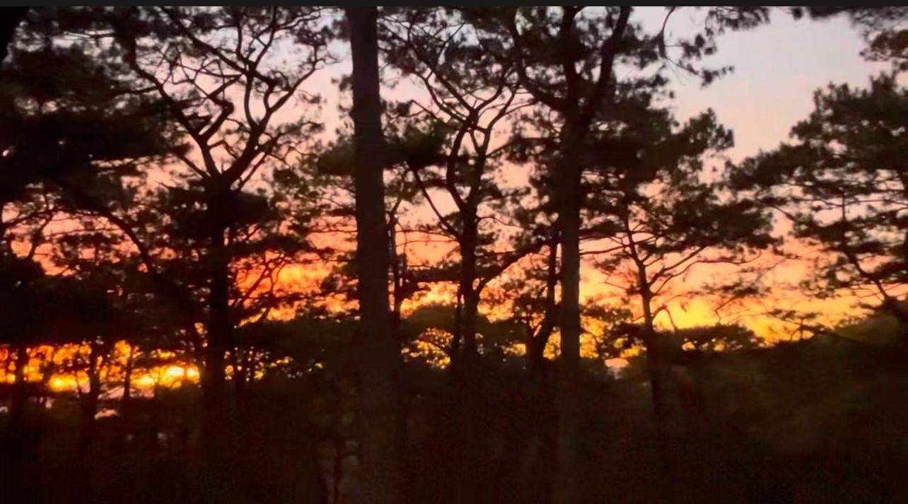 Campjohnhay Forest Estate Baguio City Exterior foto